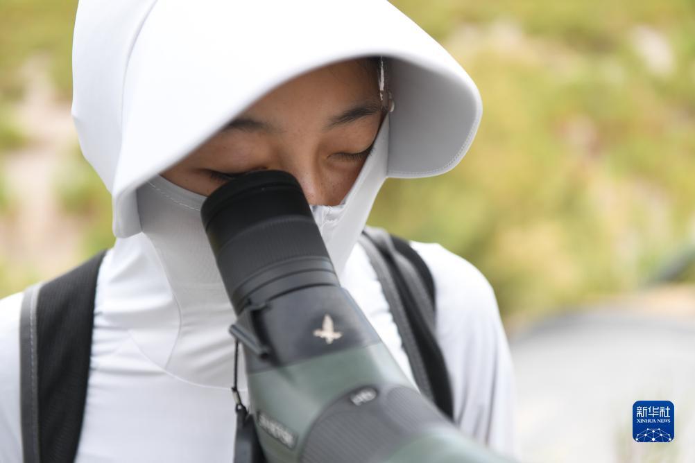 必发bifa365